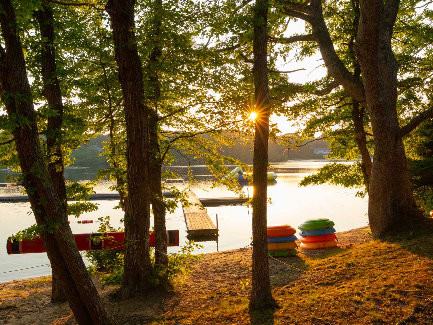 Lake view from behind some trees at sunset